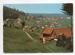 - CPM WANGENBOURG (67) - Vue Générale - Photo CAP 613 - - Sonstige & Ohne Zuordnung