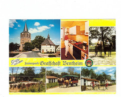 4459 UELSEN, Ferienpark Grafschaft Bentheim, Pferde, Radfahrer - Bad Bentheim