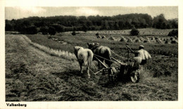 VALKENBURG Omgeving Velp Rheden De Steeg Gelderland Landbouw Paardenkar Horse  HOLLAND HOLANDA NETHERLANDS - Rheden