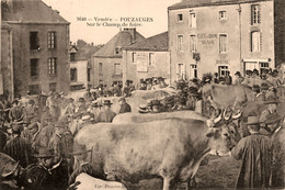 Pouzauges * Sur Le Champ De Foire , Le Marché Aux Bestiaux * Gros Plan ! * Café Du Centre MIGNON Epicerie - Pouzauges