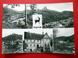 Ziegenrück - Wappen Ziegenbock - Echt Foto - 1977 DDR - Thüringen - Ziegenrück