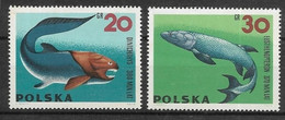 Thème Poissons - Pologne - Timbres Neufs Sans Charnière ** - TB - Fishes