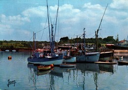 Concarneau (Finistère) Le Port: Thoniers (Thonniers) Et Chalutiers Au Repos - Editions Jean, Carte N° 20309 - Concarneau