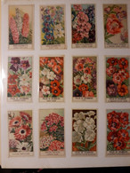 Important Lot  D'images  De Fleurs , Belles Séries , 26 Pages De 12 Images   ///  Ref.  Avril. 21 - Other