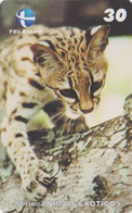 TC BRESIL - Série ANIMAIS EXOTICOS TELEMAR 8/11 - ANIMAL Félin CHAT SAUVAGE -  WILD CAT  Feline BRAZIL Brasil Pc - 564 - Jungle