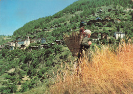 Suisse Village D' Iserables Agriculture Cueillette Recolte Femme Avec Hotte - Isérables