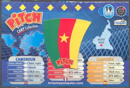 Magnet Pitch World Cup 2010 CAMEROUN 19/32 (sous Blister) - Sport
