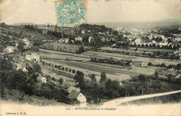 Montbéliard * Panorama Et Vue Sur La Citadelle - Other & Unclassified