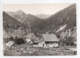 - CPSM LE MASSIF DU HOHNECK (68) - Vallée De La Wormsa - Editions LA CIGOGNE 391.15 - - Autres & Non Classés