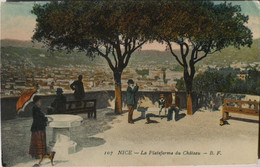 Cartes Postales Couleurs Nice La Plateforme Du Chateau N° 107 - Museos