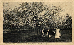 Vruchtentuin Weltevreden Kerk Avezaah Betuwe Bloeiende Bomen Arbres Fleuris Voorjaar Spring  HOLLAND HOLANDA NETHERLANDS - Altri