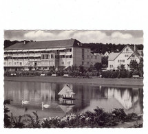 4934 HORN - BAD MEINBERG, Kurparkteich, 1961 - Bad Meinberg