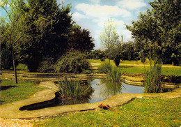 85 - Chaillé Les Marais - Centre Spirituel "L'Immaculée" - Vue Du Parc, Notre Dame Du Rocher - Chaille Les Marais