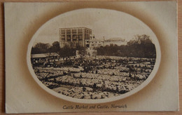 Norwich - Cattle Market And Castle - (n°20299) - Norwich