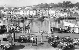 64-SAINT-JEAN-DE-LUZ- LE PORT - Saint Jean De Luz