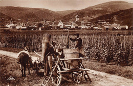 67-RIQUEWIHR- LES VENDANGES - Sonstige & Ohne Zuordnung