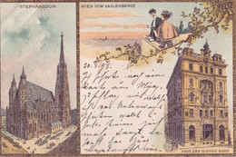 A4245- Stephansdom, Haus Der Wiener Mode, Wien Vom Kahlenberge Viena Austria 1898 Sent To Brasov Romania Used Postcard - Stephansplatz