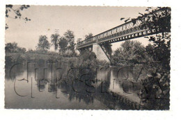 Paulhan (34) : Le Pont En Fer Pris Des Bords De L'Hérault En 1954 PF. - Paulhan