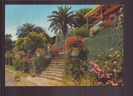 ESCALIER FLEURI AU RAYOL 83 - Rayol-Canadel-sur-Mer