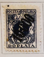 Pologne - 1919 _ Timbres- Taxe _ Y&T N°38, N°40-41-42-43-44, N°46-47-48-49-50-51, N°56, N°62 Et N°69 - Taxe