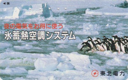 Télécarte JAPON / 110-011 - ANIMAL - OISEAU -  MANCHOT ADELIE - PENGUIN BIRD JAPAN Phonecard - PINGUIN - 5647 - Pinguïns & Vetganzen