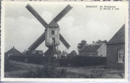 Eindhout De Windmolen - Laakdal