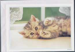 Belgique  Cats Chats Postogram   MNH - Sonstige & Ohne Zuordnung