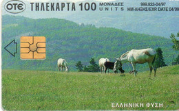 PHONE CARD - GRECIA - TELEKARTA - OTE - Caballos