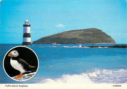 CPSM Puffin Island,Anglesey        L521 - Anglesey