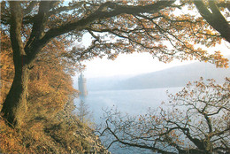 CPSM Autumn,lake Vyrnwy        L521 - Montgomeryshire