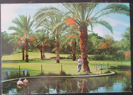 ISRAEL KIBBUTZ YAD MORDEHAI MEMORIAL MUSEUM GAZA  ASHKELON CPM PC PICTURE PHOTO CARD POSTCARD CARTOLINA ANSICHTSKARTE - Neujahr