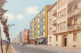 Cartolina - Vercelli - Viale Rimembranze - 1965 Ca. - Vercelli