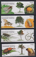 Año 2020  Nº 4667/0 Sanidad Vegetal (SIV) - Nuovi