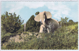 72 - Marçon (Sarthe) - L'Eléphant - Andere Gemeenten