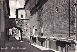 Spoleto - Arco Di Druso - Formato Grande Viaggiata – FE190 - Foligno