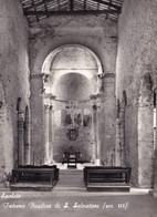 Spoleto - Interno - Basilica Di S.salvatore - Formato Grande Non Viaggiata – FE190 - Foligno