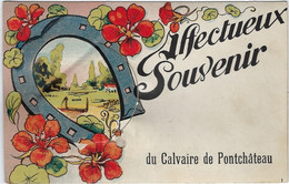 44  Pontchateau  -   Affectueux Souvenir - Carte A Systeleavec Depliant 10 Vues - Pontchâteau