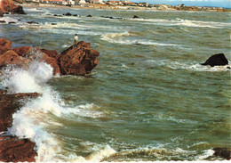 BRETIGNOLLES SUR MER : MER HOULEUSE PRES DE LA COTE - Bretignolles Sur Mer