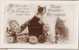 AP96 Greetings - Many Happy Returns - Cats, Basket, Horseshoe, Flowers - Anniversaire
