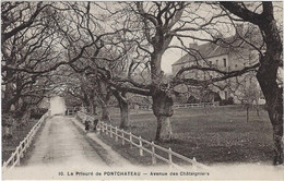 44  Pontchateau  -  Le Prieure   -  Avenue Des Chataigniers - Pontchâteau