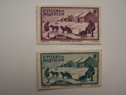 France Saint Pierre Et Miquelon Oblitérés Attelage De Chiens - Used Stamps