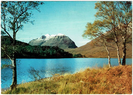 CPSM Ecosse Liathach From Loch Clair, The Torridons Ross-Shire, Timbre 1979 - Ross & Cromarty