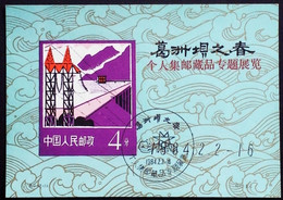 CHINA  CHINE CINA NON - POSTAL VALUE SOUVENIR SHEETS - Sonstige & Ohne Zuordnung