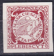 POLAND 1920 3 Hal Slask Cieszynski Mint Hinged Essay Silesia Red On White Paper - Vignette