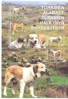 2013 Turkmenistan, Dogs Or Turkmenistan, S/s, Mint/** - Turkmenistan