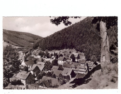 3542 WILLINGEN, Dorfansicht 1955 - Waldeck