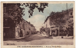 84 SARRIANS-MONTMIRAIL **Avenue Notre-Dame** - Sarrians