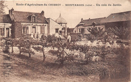 45-MONTARGIS- ECOLE D'AGRICULTURE DE CHESNOY- UN DU JARDIN - Montargis