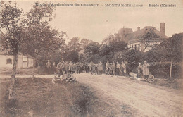 45-MONTARGIS- ECOLE D'AGRICULTURE DU CHESNOY- ECOLE ENTREE - Montargis