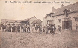 45-MONTARGIS- ECOLE D'AGRICULTURE DU CHESNOY- FERME CÔTE ECURIE - Montargis